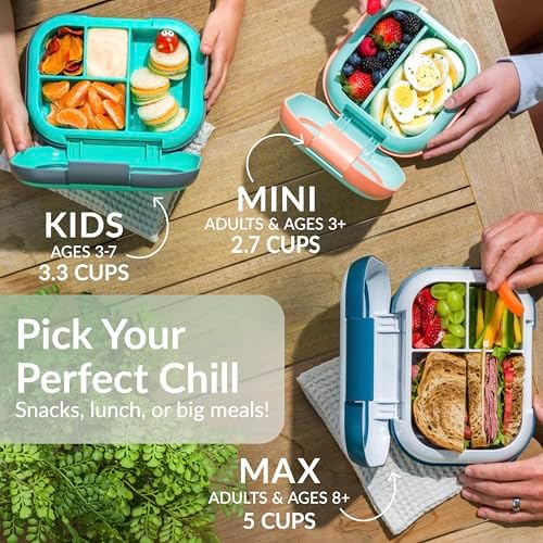 Chill Max Leak-Proof XL Bento-Style 3 or 4 Compartment Lunch Box