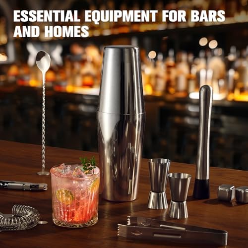 Cocktail Shaker Set, 23 Piece Bartender Kit with Stand Silver