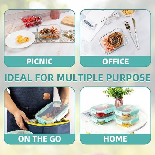 10 Pack 22 oz Glass Meal Prep Containers, Food Storage Containers with Lids