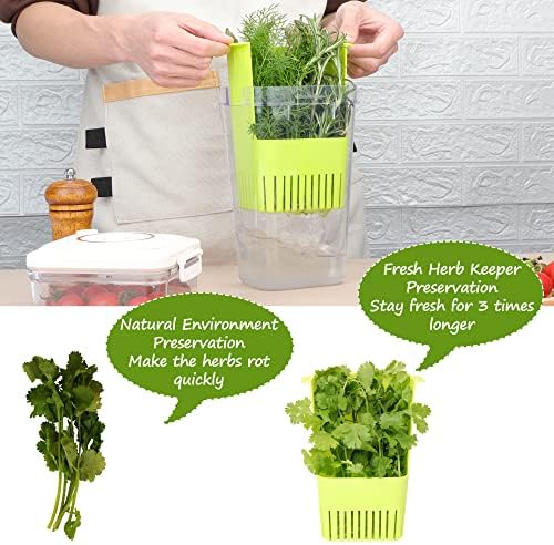 2 Pack Fresh Herb Keeper for Refrigerator, Clear BPA-Free Herb Saver, Storage Container for Cilantro, Parsley, Thyme, Mint & Asparagus, Preserver Keeps Fresh Herbs for 3 Times Longer