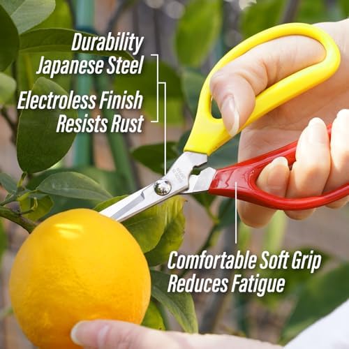 Trimming Scissors 6" - Japanese Garden Plant Herb Buds Flower Shears