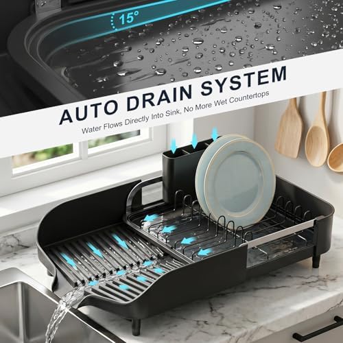 Dish Drying Rack, Expandable Dish Rack for Kitchen Counter