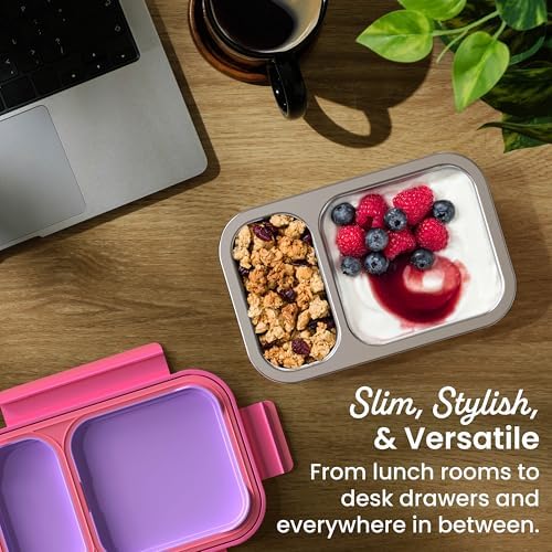 Stainless Steel Snack Box, Leak-Proof, 2 Compartments, 2-Cup Capacity