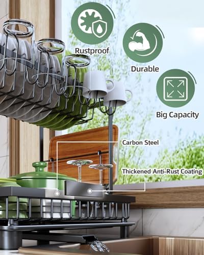 2-Tier Dish Drying Rack for Kitchen Counter, Space-Saving, Black