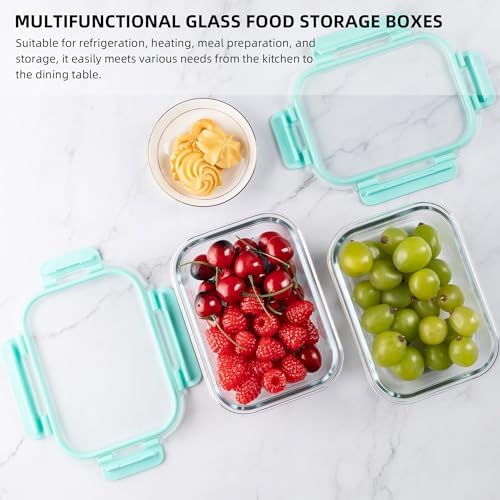 10 Pack 22 oz Glass Meal Prep Containers, Food Storage Containers with Lids