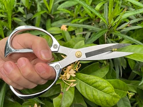 Indoor Plant Shears Garden Scissors, Flower Pruners Made of Japan SK5 Stainless Steel, Flowers Herbs and Plant Cutters, Clippers, Trimmers, Loppers, Bonsai Potted Plant Pruning Scissors