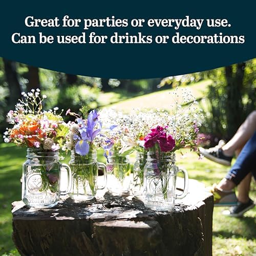 County Fair Set of 12 Mason Drinking Jars with Handle