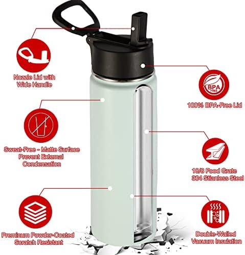 22oz Insulated Water Bottle with Straw Lid, Mix, 4-Pack