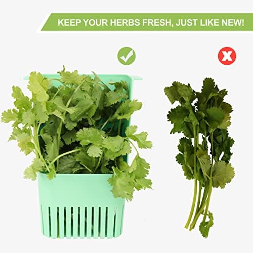 3 Pack Herb Keeper, BPA-Free Plastic Herb Saver with an Inner Basket for Cilantro, Mint, Parsley, and Asparagus, Keeps Fresh Herbs for 3 Times Longer
