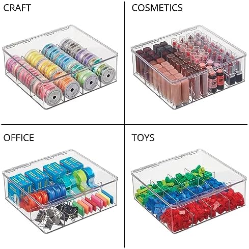 Plastic Kitchen Organiser — Practical Storage Box with 12 Compartments and Hinged Lid — Pantry Storage Box with Lid for Tea, Coffee, Spices and Other Foodstuffs — Clear