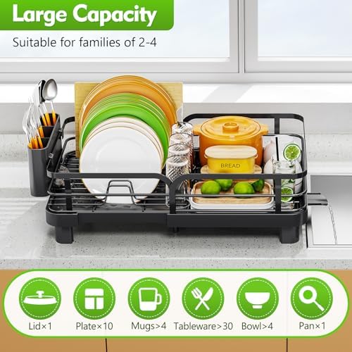 Expandable Dish Drying Rack for Kitchen Counter, Black