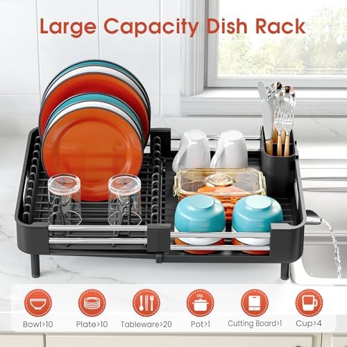 Expandable Dish Drying Rack for Kitchen Counter, Standard, Black