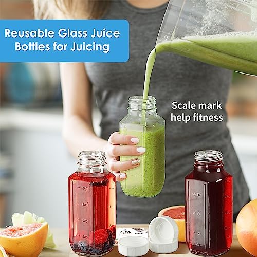 6 Pack 16 Oz Glass Juice Bottles with Lids,2 Pour Spouts & Scale Marks