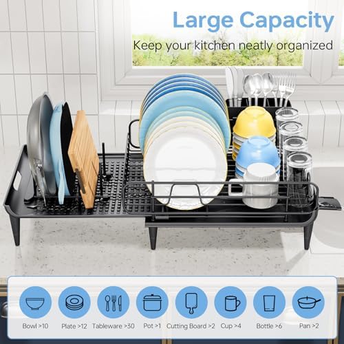 Large Expandable Dish Drying Rack for Kitchen Counter, Black