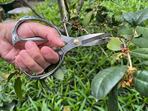 Indoor Plant Shears Garden Scissors, Flower Pruners Made of Japan SK5 Stainless Steel, Flowers Herbs and Plant Cutters, Clippers, Trimmers, Loppers, Bonsai Potted Plant Pruning Scissors