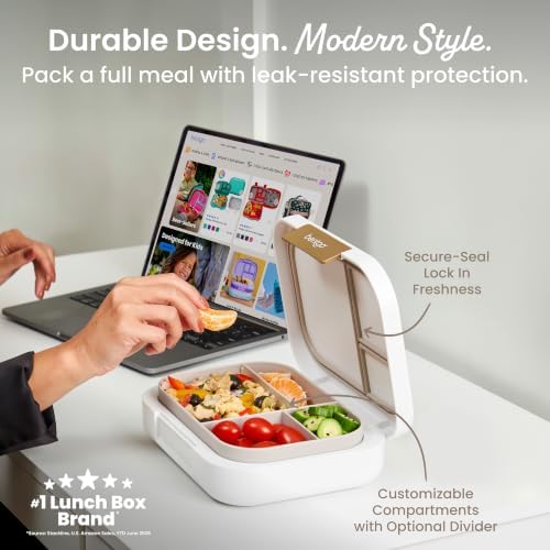 Modern Adult Bento Lunch Box with 3-4 Compartments