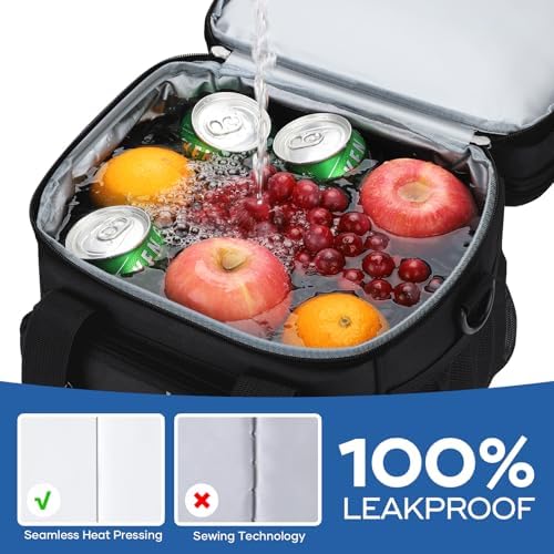 Insulated Lunch Bag, Portable Double Deck Lunch Box for Men Women