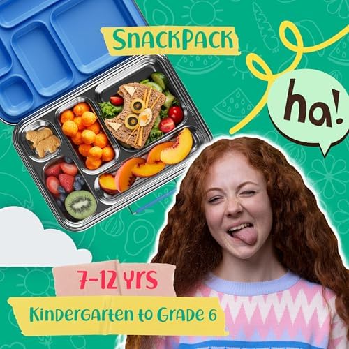 Stainless Steel Bento Box Kids, Kids Metal Bento Lunch Box BPA Free Lunch Box Containers 304 Stainless Steel Bento Box for School and Office(Bule)