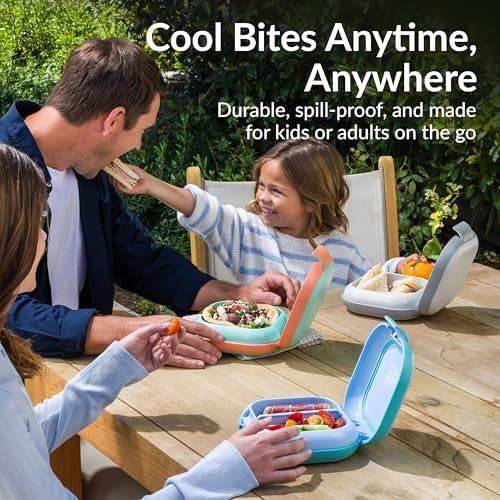Chill Mini Leak-Proof 3 or 4 Compartment Lunch Box