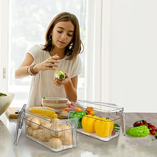 2 Pack Plastic Food Storage Produce Containers for Fridge, Stackable Lettuce Keeper for Refrigerator with Removable Drain Tray Keep Fresh for Vegetables/Fruit/Berry/Salad - 10'' x 5.3'' x 5.2''