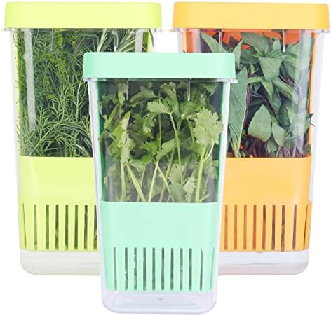 3 Pack Herb Keeper, BPA-Free Plastic Herb Saver with an Inner Basket for Cilantro, Mint, Parsley, and Asparagus, Keeps Fresh Herbs for 3 Times Longer