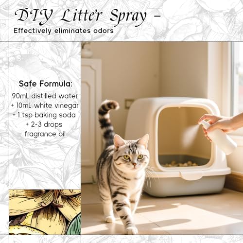 HIQILI Beautiful Life Fragrance Oil for Diffuser, DIY & Aromatherapy - Image 5