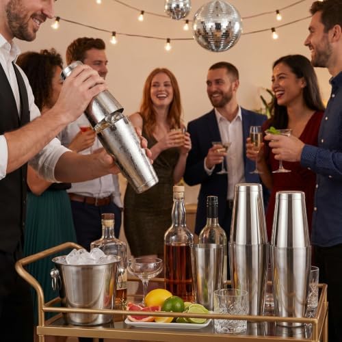 16 Pcs Cocktail Shaker Boston Cocktail Shaker Set, Stainless Steel Martini Drink Shakers Bartending, 18 Oz & 28 Oz Bar Professional Shake Mixer Tin Tools for Bartender Cocktails (Silver)