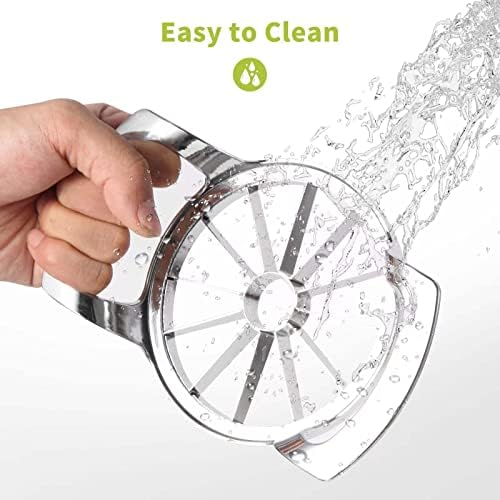 Stainless Steel Apple Slicer Corer Cutter,2 in 1 Y Peeler for Peeling