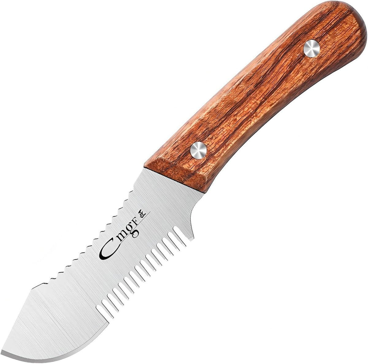 Julienne Scallion Shredding Knife Multi-Purpose Slicer for Onion
