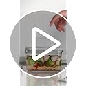 Premium Airtight Food Storage Containers & Vacuum Sealer Machine Starter Set, 4-piece Container with Sealer, 100% Leak Proof,Keep food fresh up to 5 times longer than non-vacuum strorage.