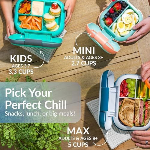 Chill Mini Leak-Proof 3 or 4 Compartment Lunch Box