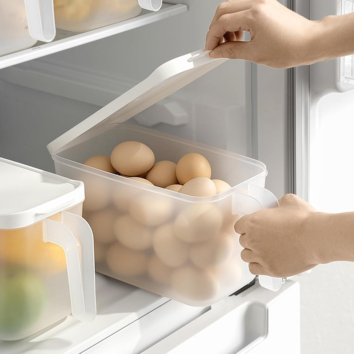 2 Pack 135oz Clear Egg Storage Containers with Handle, Airtight
