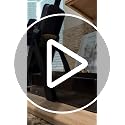 Mandoline Slicer for Kitchen, Adjustable 0.1-8mm (S4 Black)