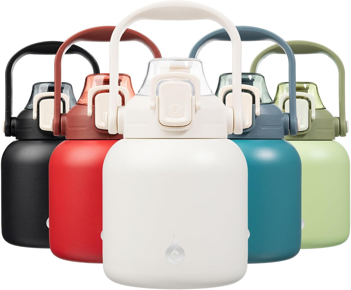 27oz Insulated Water Bottle with Straw Lid, Cute Stainless Bottle