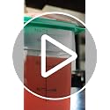 Food Storage Container with Lid (Microwave Safe and BPA-Free) - 2 Pack - Classic Series Square with Green Lid - 4 QT (Quart) - Commercial Grade for Food Prep (Translucent)