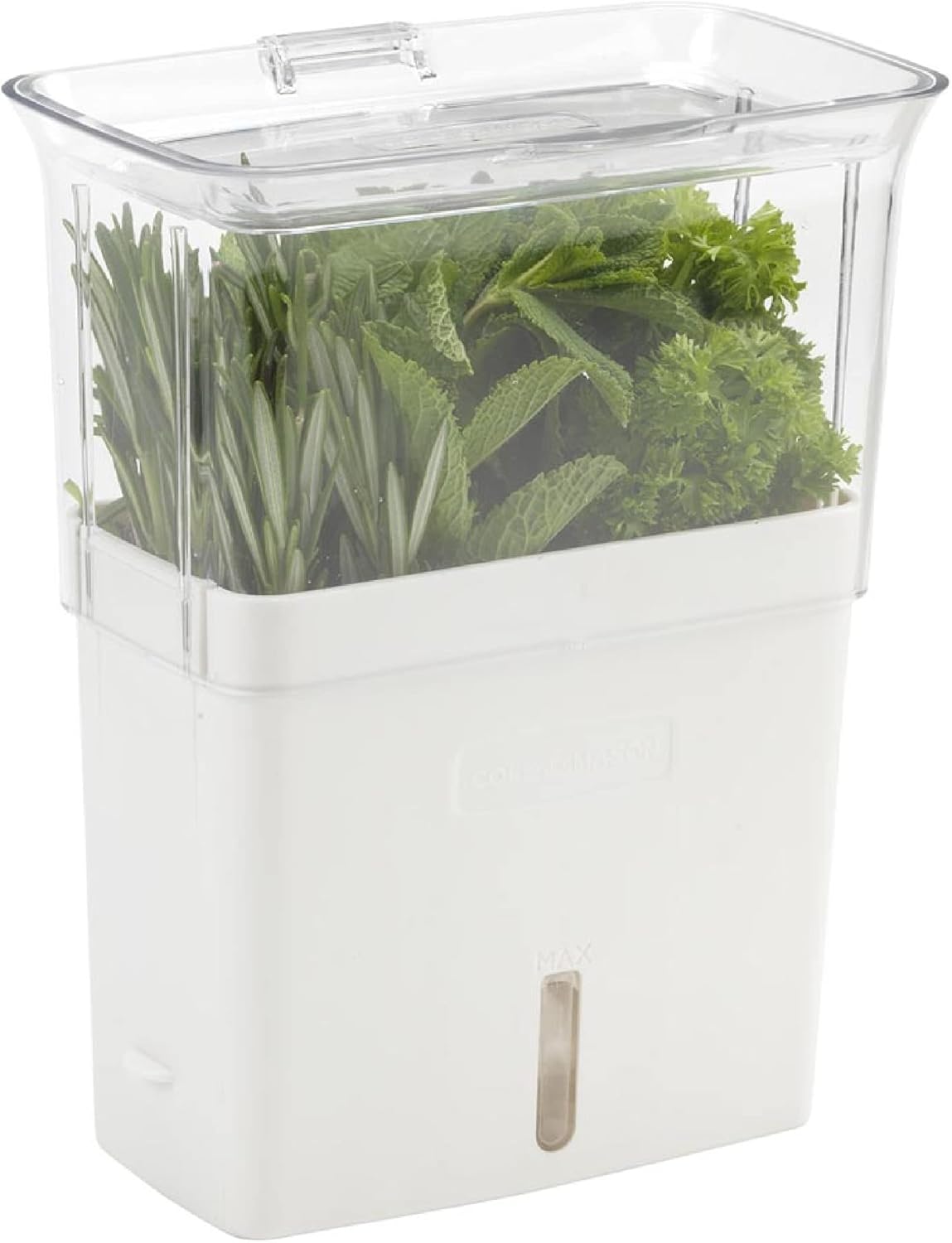 Cole & Mason Herb Storage Container for Refrigerator, Fresh Herb Keeper