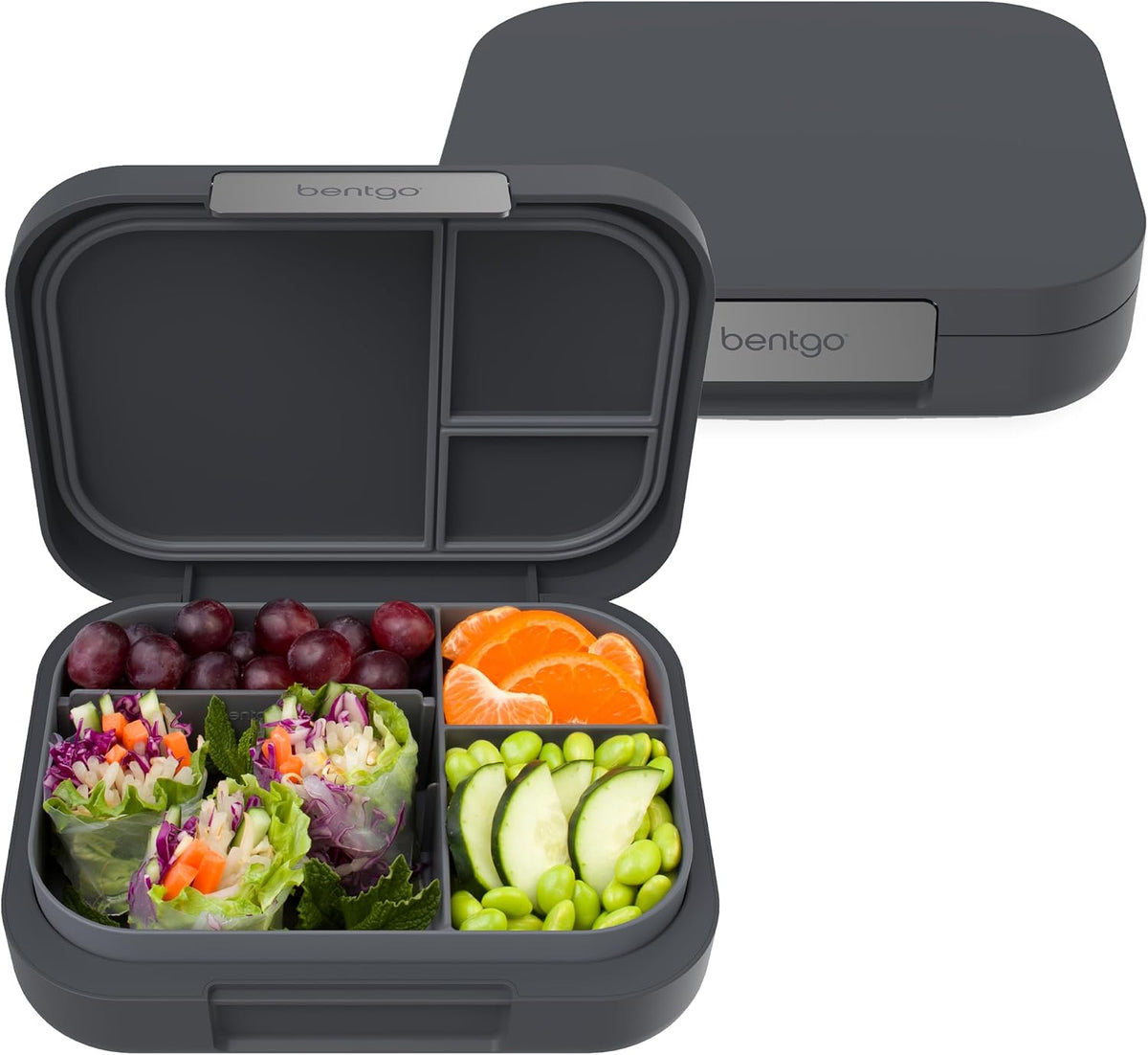Modern Adult Bento Lunch Box with 3-4 Compartments