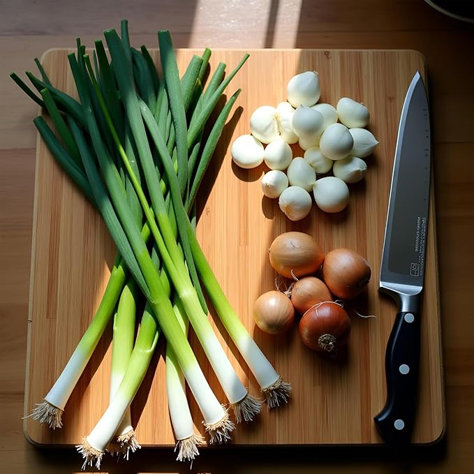 Green Onion Shredder, 2 Pcs Kitchen Onion Cutter with 12 Blade Design, Green Onion Slicer Tool, Seasoning Spice Choppers