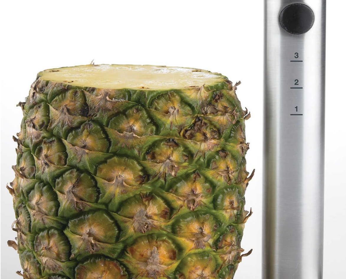 CLEARANCE 304 Food Grade Silver Stainless Steel Depth Marked Pineapple De-Corer Peeler Stem Remover Slicer Blades Diced Fruit Ring Cutter