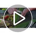 Microplane Stainless Steel Professional Swivel Peeler, Sharp Blade for Effortless Peeling of Hard Fruits and Vegetables, Kitchen Peeler for Home Cooks and Professional Chefs
