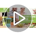 3 Pack Herb Keeper, BPA-Free Plastic Herb Saver with an Inner Basket for Cilantro, Mint, Parsley, and Asparagus, Keeps Fresh Herbs for 3 Times Longer
