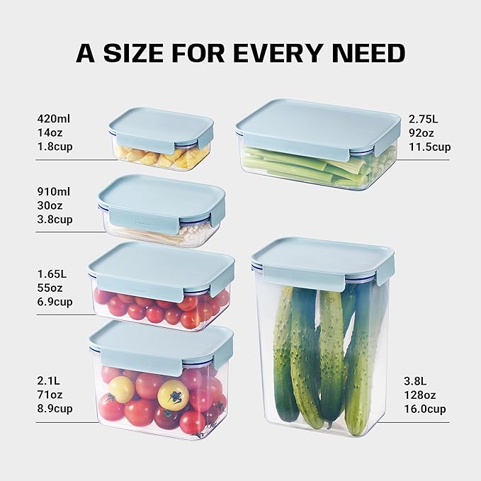 LocknLock Classic-Plus Plastic Food Storage Container | Airtight Plastic Food Storage Containers with Lids | BPA Free Stackable Food Storage for Meal Prep, Leakproof, Freezer & Dishwasher Safe, 2.75L
