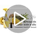 Pineapple Cutter with Knife, [Upgraded, Electric & Manual] Durable Pineapple Corer with Electric Drill Accessory, Stainless Steel Fruit Peeler Knife Pineapple Slicer Core Remover Kitchen Tool