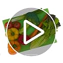 FreshMats Fridge Bin Liners, Green, 12x15, Set of 4 Mats