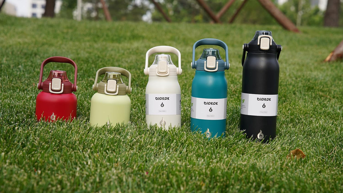 27oz Insulated Water Bottle with Straw Lid, Cute Stainless Bottle